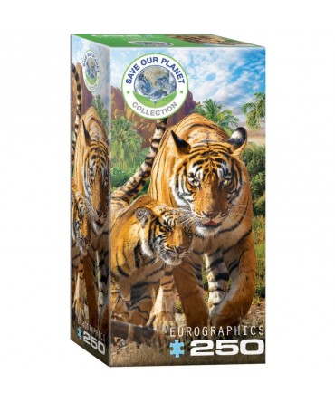 Puzzle 250 pièces Tigres